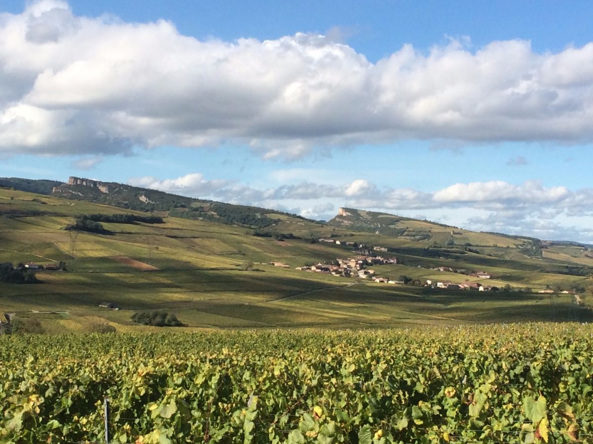 Parcelle vin - Mâcon-Villages Cuvée  « Terroirs du Mâconnais » Bret Brothers